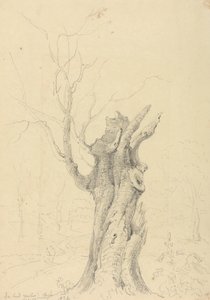 Im Park von Lord Yarborough, Appuldurcombe, Isle of Wight von Capt. Thomas Hastings