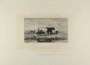 Das Ufer der Escaut von Carel Nicholaas Storm van Gravesunde