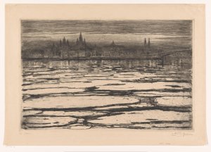 Gleitschirme auf dem Rhein von Carel Nicolaas Storm van 