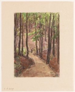 Waldweg durch die Hügel von Baden-Baden von Carel Nicolaas Storm van 