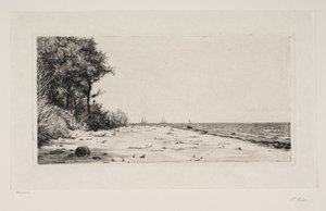 Von der Nordküste Seelands. Hornbækplantage