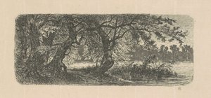Wasserulmen von Carl C. Brenner