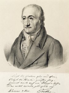 Porträt von Johann Wolfgang von Goethe