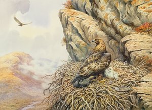 Steinadler am Horst von Carl Donner
