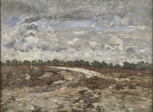 Wildes Land im Wald von Fontainebleau von Carl Fredrik Hill