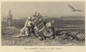 Der herabstürzende Schrecken der Wüste von Carl Haag