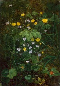 Butterblumen und Vergissmeinnicht auf einem Waldboden