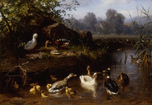 Enten und Entenküken in einem Bach