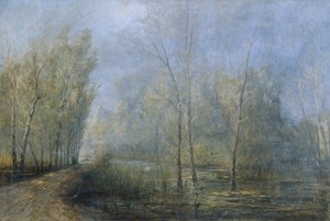 Donau-Auen von Carl Kaiser Herbst