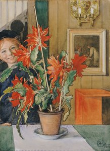 Britas Kaktus, 1904 von Carl Larsson