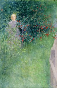 In der Weißdornhecke