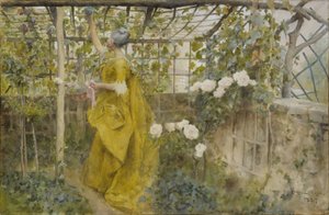 Der Weinstock, 1884