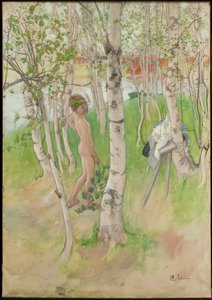  von Carl Larsson