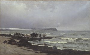 Tang wird am Strand von Hornbæk verladen