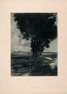 Schwarzpappeln von Carl Maria Thuma
