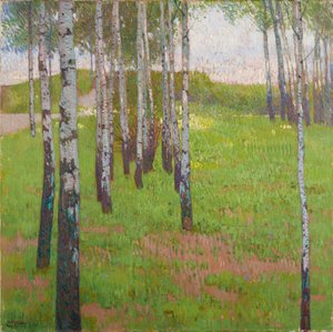 Birkenwäldchen im Abendlicht