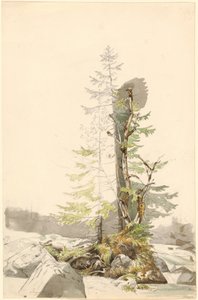  von Carl Morgenstern