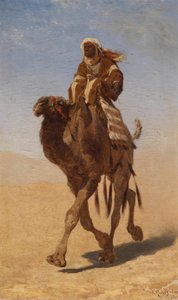 Kamelreiter