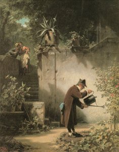 Der Blumenfreund