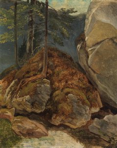 Ölstudie mit moosbewachsenem Felsen