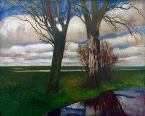 Moorlandschaft