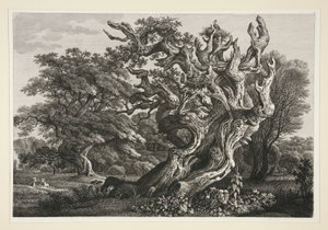 Landschaft