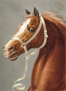 Paradehalfter für die Kavallerie von Carle Vernet