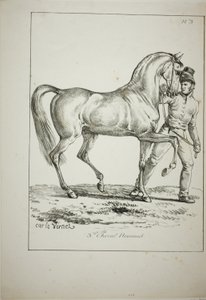 Königliche Garde, normannischer Kavalier, nicht in voller Montur, und Pferd, Nr. 3