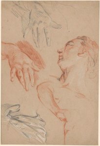 Studienblatt von Carle van Loo