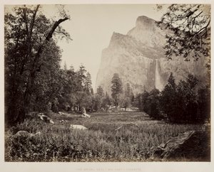 Brautschleier, Yosemite, um 1865-1866 von Carleton E. Watkins