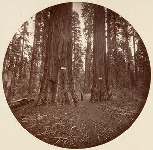 Kein Titel, ca. 1878