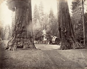 Die Wachen, 315 Fuß, Yosemite