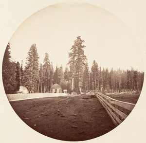Die Wächter. C. Grove, ca. 1878