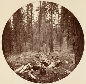 Yosemite-Nationalpark, Kalifornien, ca. 1878