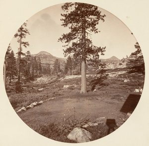 [Yosemite-Nationalpark, Kalifornien], ca. 1878