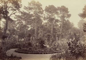 [Arizona-Garten, Hotel del Monte, Monterey] von Carleton Watkins