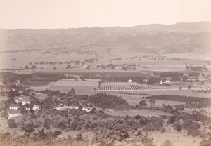 Calistoga, CA? von Carleton Watkins