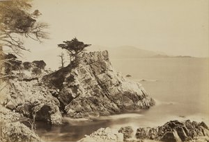 [Cypress Point] von Carleton Watkins
