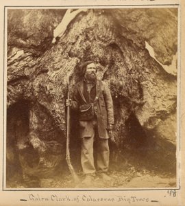 Galen Clark, Esq., Mariposa Grove, Mariposa County, Kalifornien von Carleton Watkins