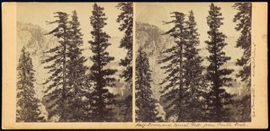 Half Dome und Vernal Fall, vom South Fork von Carleton Watkins