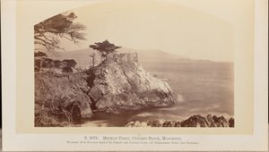 Midway Point, Cypress Drive, Monterey von Carleton Watkins