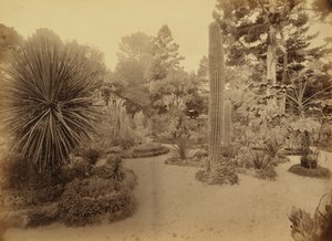 Monterey, Kalifornien. Arizona-Garten, Hotel Del Monte.