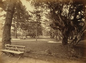 [Monterey, Kalifornien. Hotel Del Monte, Rasenansicht.]
