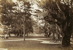Park in der Nähe des Hotel del Monte, Monterey? von Carleton Watkins