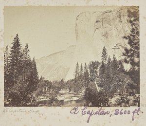 Tutocanula - El Capitan - 3600 Fuß, Yosemite Valley, Mariposa County, Kalifornien (Nr. 1010) von Carleton Watkins