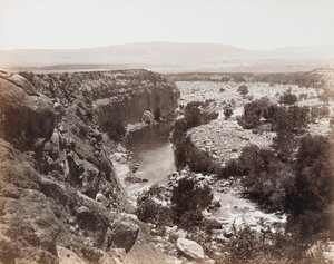 Ohne Titel [Bachlandschaft] von Carleton Watkins