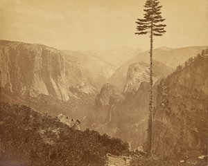 Yosemite-Tal vom Mariposa-Pfad von Carleton Watkins
