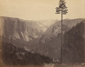 [Yosemite-Tal aus der besten allgemeinen Sicht] von Carleton Watkins