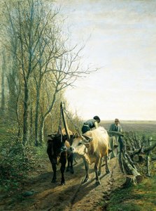 Erwartete Steuer (Ochsen vor dem Wagen)