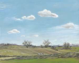Offene Landschaft